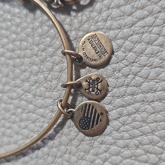 Alex and Ani Path of Life Charm Gold tone bracelet - Picture 3 of 4